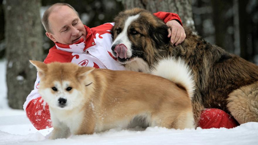 Elege lett Putyinnak, hogy mindenki kutyát adna neki ajándékba!