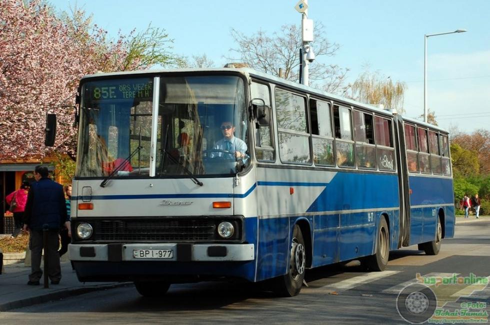Lerúgták a buszról és bántalmazták a 15 éves lányt Budapesten
