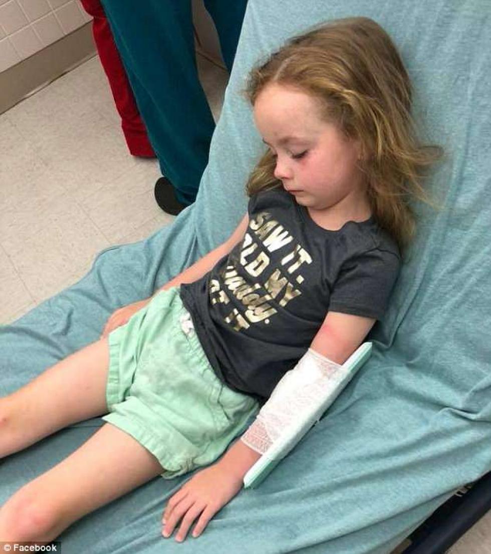 Kullancscsípéstől 12 órára lebénult az 5 éves kislány