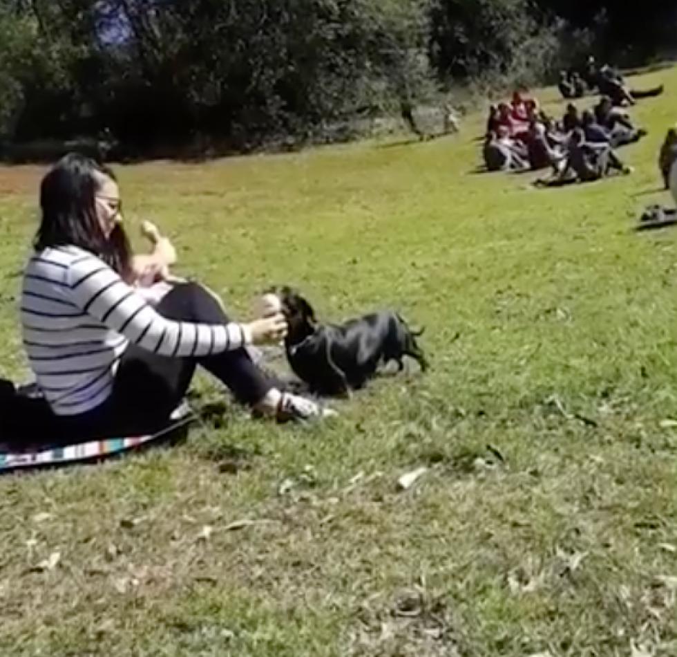 Nekimentek a netezők a nőnek, aki kutyájával felváltva nyalta a fagylaltot