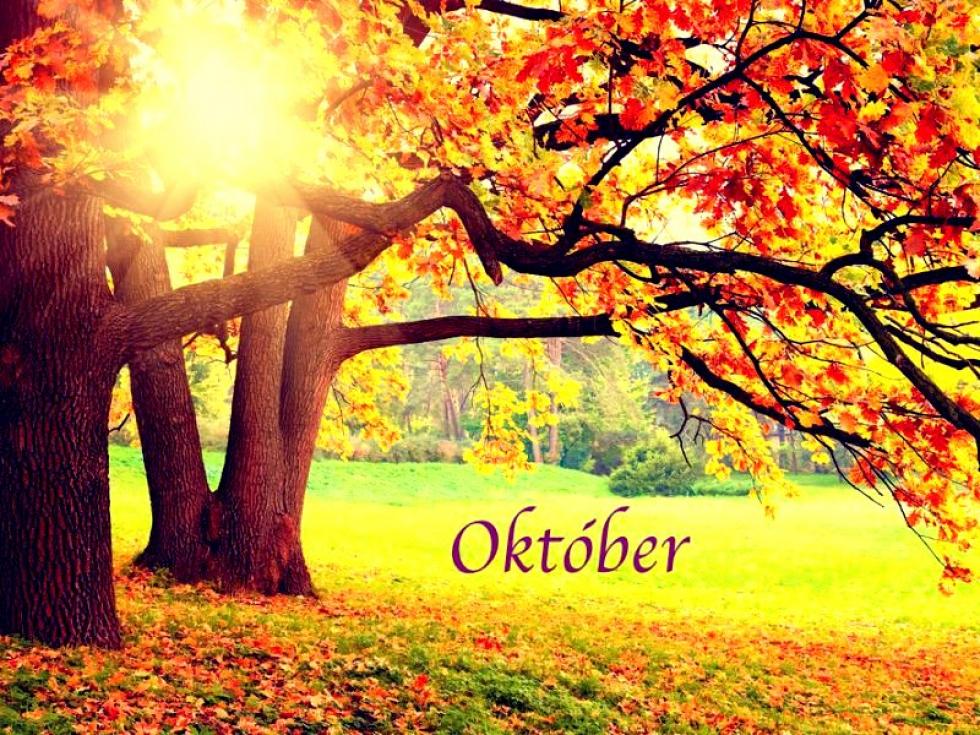 Mire lesz szükséged októberben?