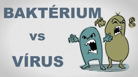 Ez a különbség a baktériumok és a vírusok között - tudományos összefoglaló humorosan, ám szakszerűen a Zállatorvostól (videó)