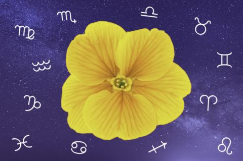 Hétvégi horoszkóp (május 11. – május 12.)