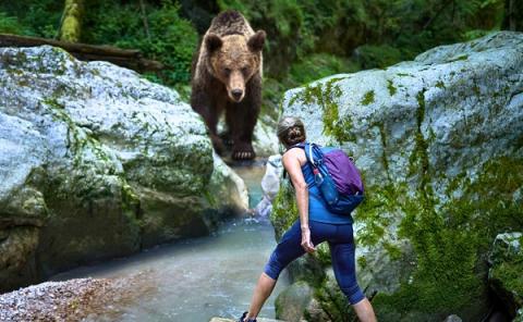 Sokkoló választ adtak a nők arra a kérdésre, hogy medvével vagy férfival maradnának-e kettesben az erdőben