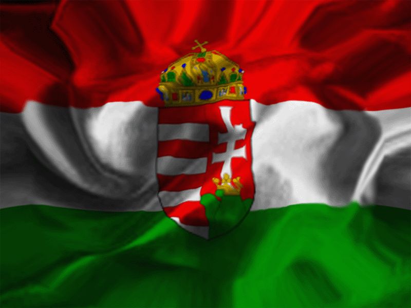 Magyar értékek napja - Halász: az együttműködés erejét ünneplik
