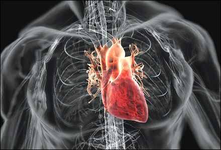 A szívrendellenesség leggyakoribb előjelei- érdemes odafigyelni
