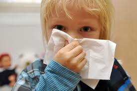 Influenza - Európa teljes nyugati felén kiterjedt járvány van