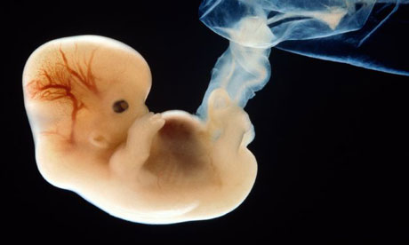 Aláírták az egyik legszigorúbb abortusztörvényt