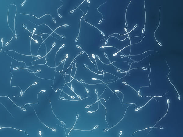 Mi mindenre jó a sperma?