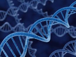 Mire jó a DNS vizsgálat?