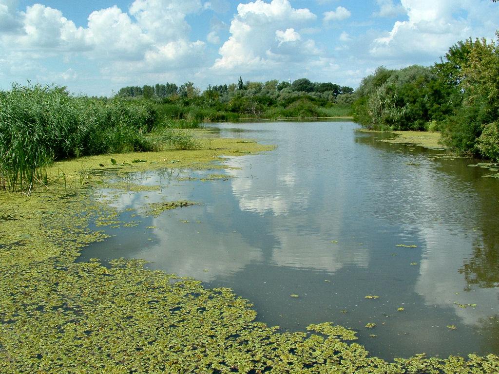 Fazekas Sándor: 6,6 milliárd forintból újul meg a Tisza-tó vízrendszere