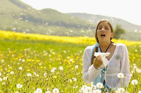 Pollenhelyzet – ÁNTSZ: csökkent a levegőben a pollenkoncentráció