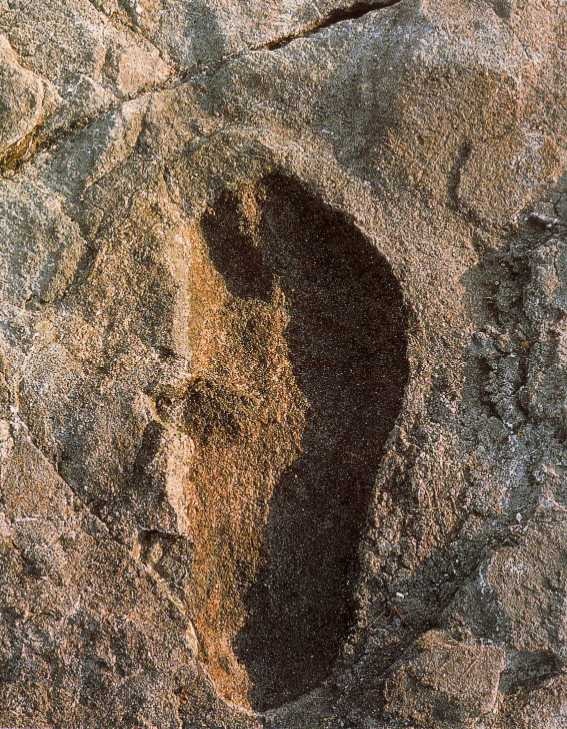 Rejtélyes lábnyomok - több százmillió éves az emberiség?