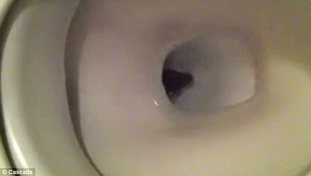 A valóra vált rémálom: patkány a WC kagylóban - videóval!
