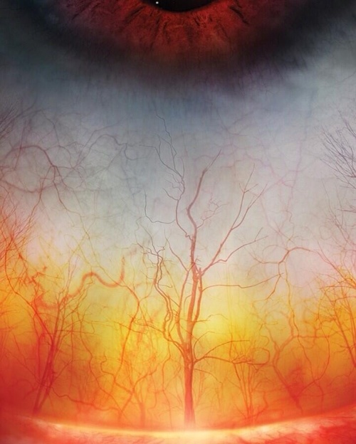 Az emberi szem olyan közelről, mint egy kísérteties erdő - elképesztő fotó!