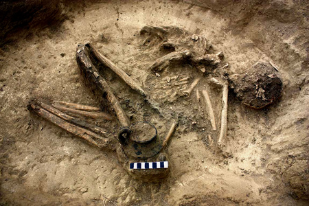 Egy nomád harcos lovának sírját találták meg Csanádpalota közelében