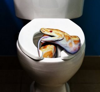 Vécéző férfi péniszébe harapott a kígyó