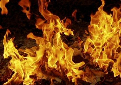 Fidesz: Zalában 90 településen részesülhetnek tűzifa-támogatásban