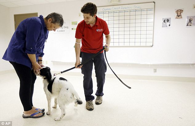 Petefészekrák diagnosztizálása kutyák segítségével - semmi sem lehetetlen