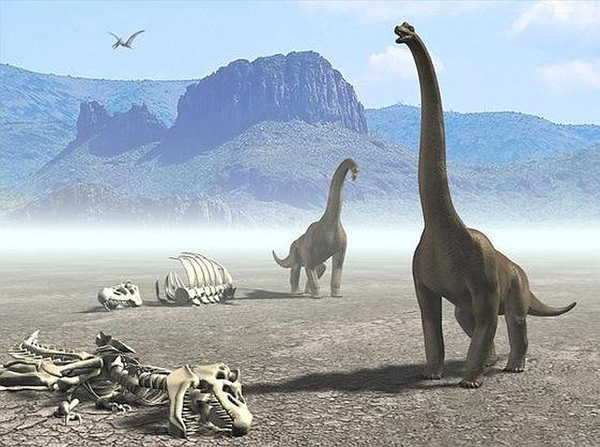 A dinoszauruszok nyaka nehezebben mozgott, mint eddig feltételezték