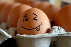 Le a tévhitekkel, a tojás nem emeli a koleszterin szintet