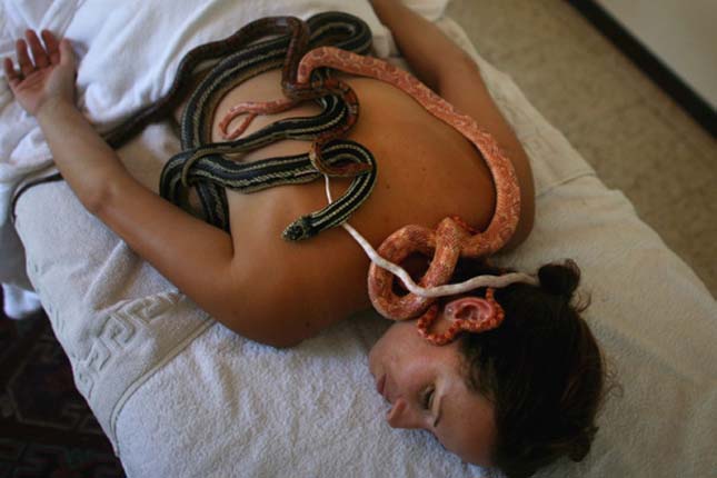 Ada Barak's Carnivorous Plant Farm Offers Snake Massage