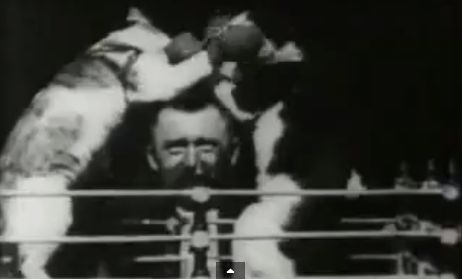 Az első macskavideót Edison készítette 1894-ben! – videóval