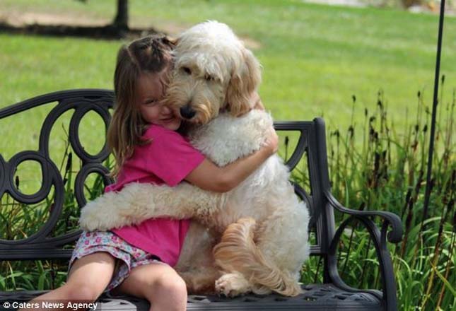 Életmentő kutyus őrzi a beteg kislányt