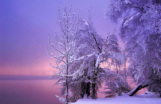 A téli tájképek erőt adnak nekünk az élet újrakezdéséhez minden évben