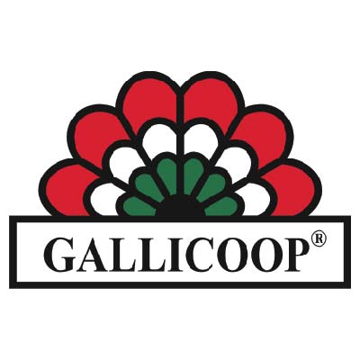 A Gallicoop 16,5 százalékos exportnövekedésre számít az idén