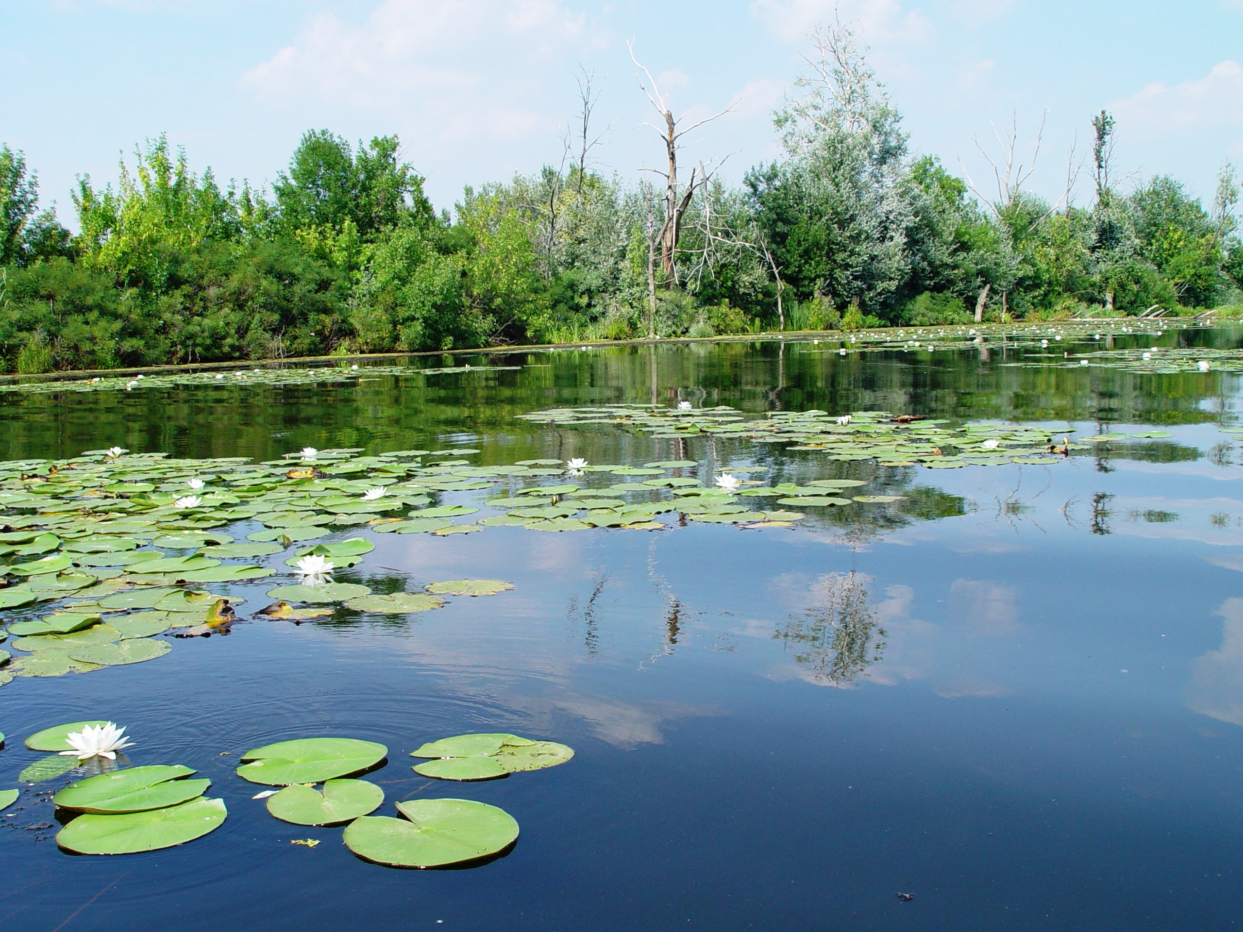 A Tisza-tó miniszteri biztosa szerint a térség sokkal több mint turisztikai célpont