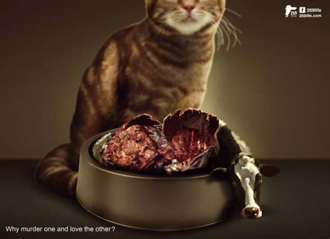 Sokkoló reklámkampány az állatok kizsákmányolása ellen! 