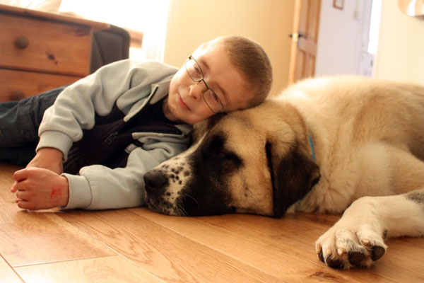 Életre szóló barátság egy beteg kisfiú és egy sérült kutya között – videó