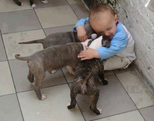 Aranyos képek a gyerekek és állatok közti őszinte szeretetről 