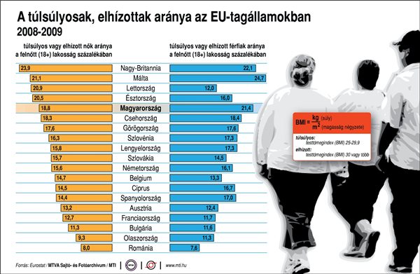 A túlsúlyosak, elhízottak aránya az EU-tagállamokban, 2008-2009