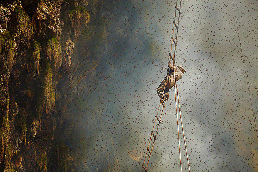 Elképesztő felvételek a nepáli mézvadászokról