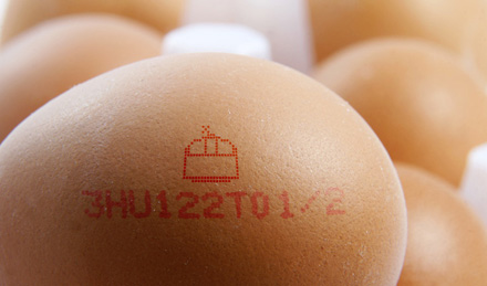Tojásszövetség: a láthatóan feltüntetett kilós ár visszaszoríthatja a tojásimportot