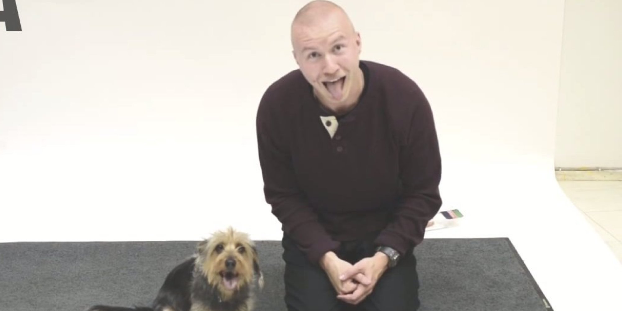 Így reagálnak a kutyák, ha ugat az ember – videó