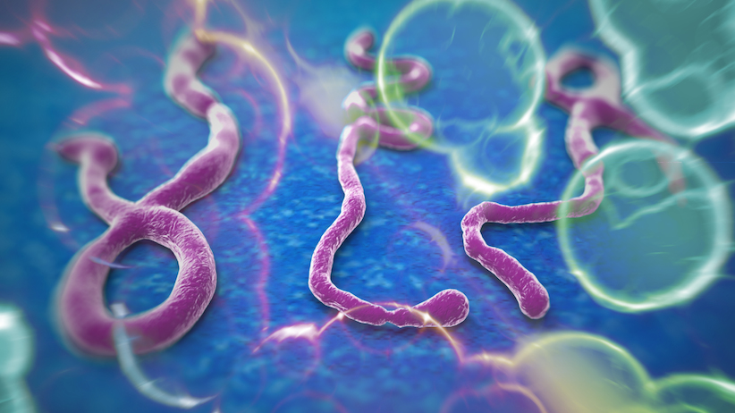 Ebola - Meggyógyult egy Párizsban és egy Hamburgban kezelt beteg