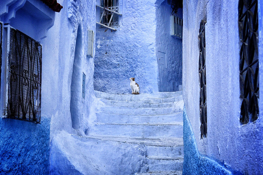 Marokkó egyik óvárosa kék festékkel van beborítva