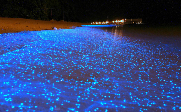 A csodás képek a Maldív-szigetekről, ahol világít a tenger éjjelente
