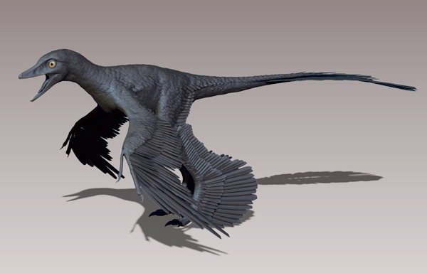 Négy szárnya volt a Kínában talált dinoszaurusznak