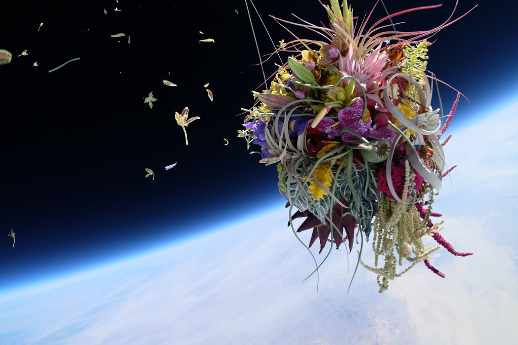 Növényeket lőttek fel az űrbe - gyönyörű fotók!