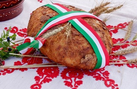Magyarok kenyere - Több mint 100 tonna búza gyűlhetett össze
