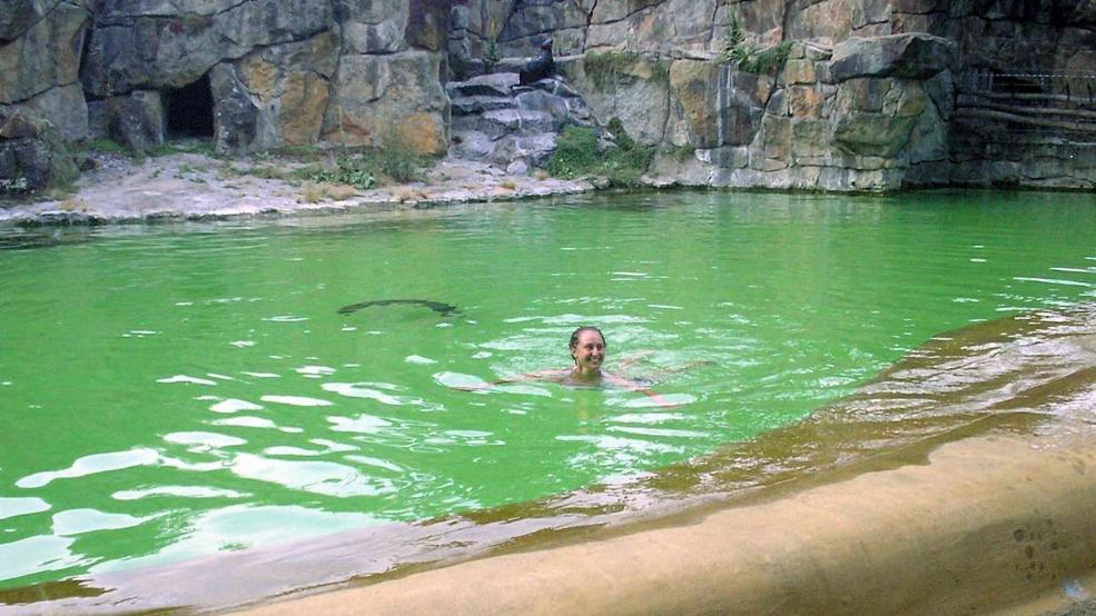 Fókamedencében fürdött egy nő a berlini állatkertben! - fotó