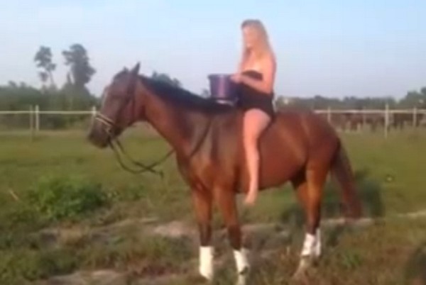 Ezt történik, ha lovon ülve öntöd le magad jeges vízzel- videó