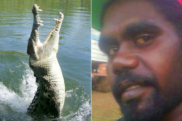 Kinyomta a krokodil szemét, így menekült meg a fiatalember