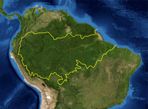 Ismét növekszik az amazonasi esőerdők irtása Brazíliában