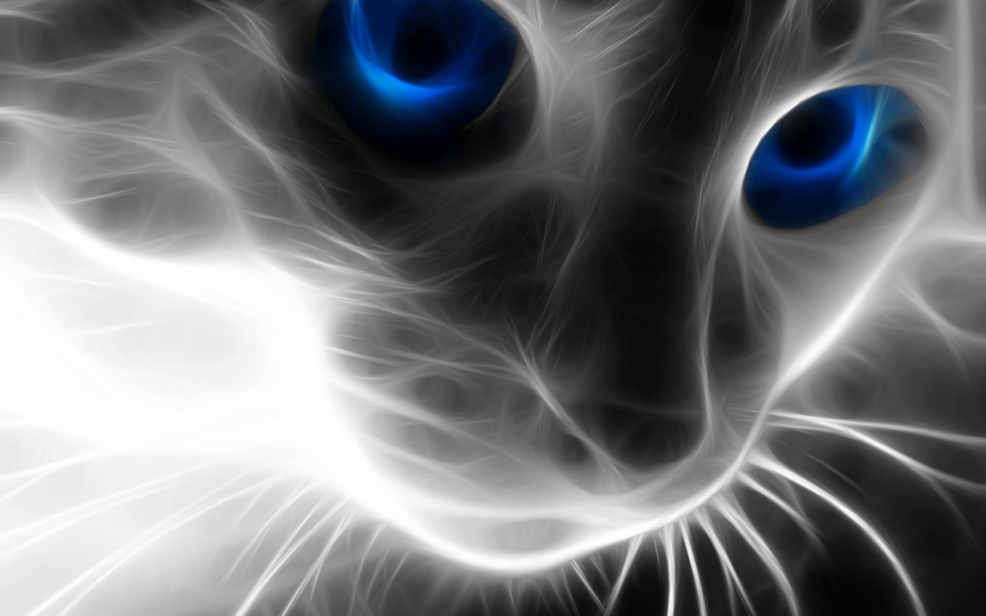 A világ legunalmasabb cica játéka egy CITROMMAL! – videó