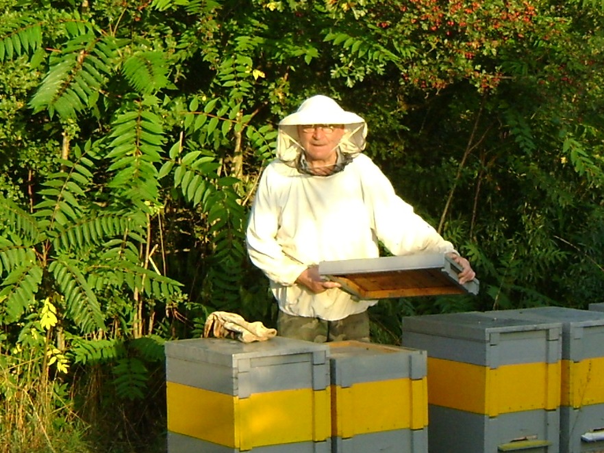 Több fejlesztési forrás jut a méhészetnek